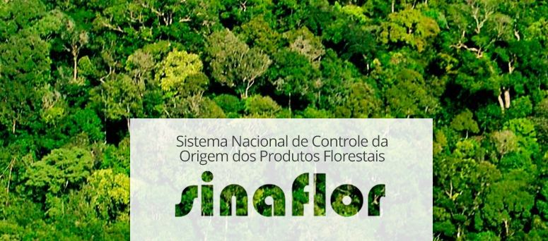 Sistema Nacional de Controle da Origem dos Produtos Florestais (Sinaflor)